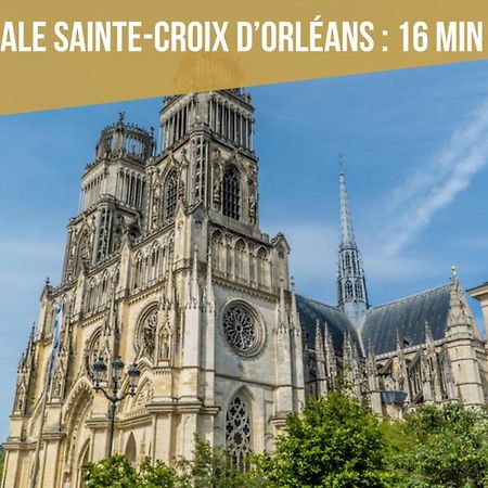 Le St Paterne, Hyper Centre, 3 Chambres Tt Confort 올리언스 외부 사진